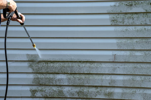 Affordable Siding Repair and Maintenance Services in Elsmere, DE